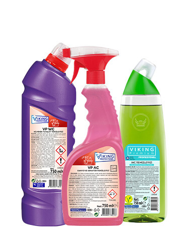 PROFESYONEL TEMİZLİK